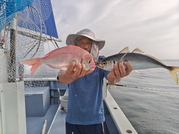 ハナダイ(チダイ)・マアジ