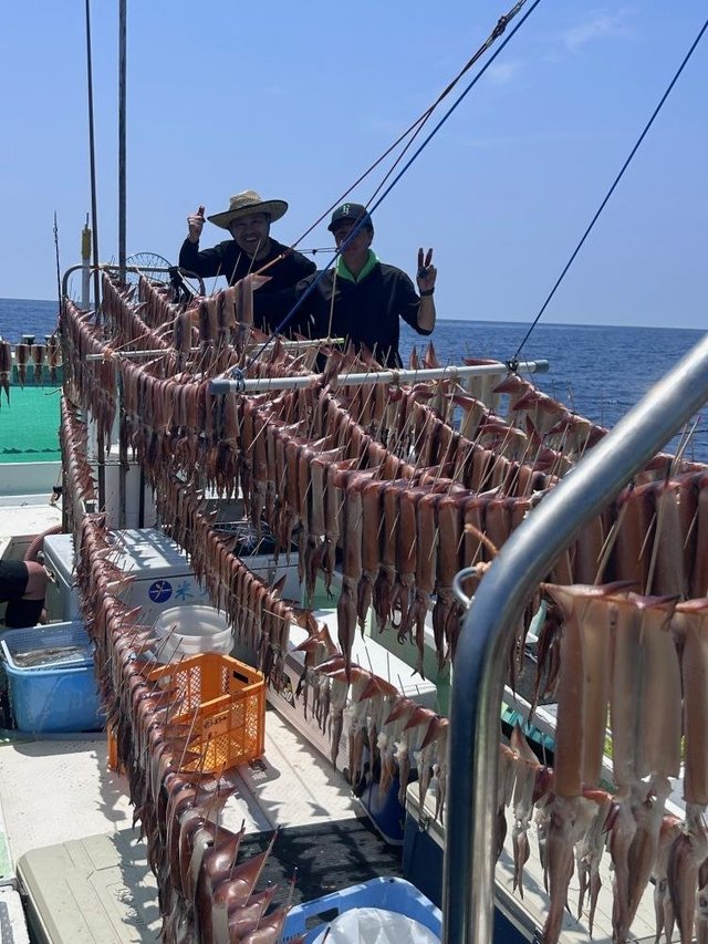 スルメ(スルメイカ)