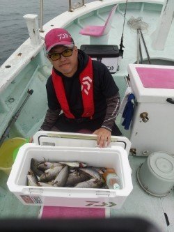 アジ(マアジ)・イサキ