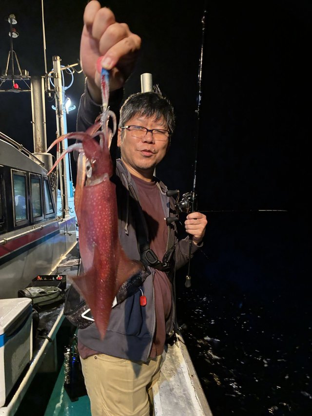 アカイカ(ケンサキイカ)