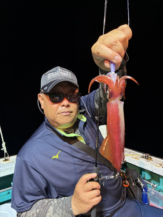 アカイカ(ケンサキイカ)