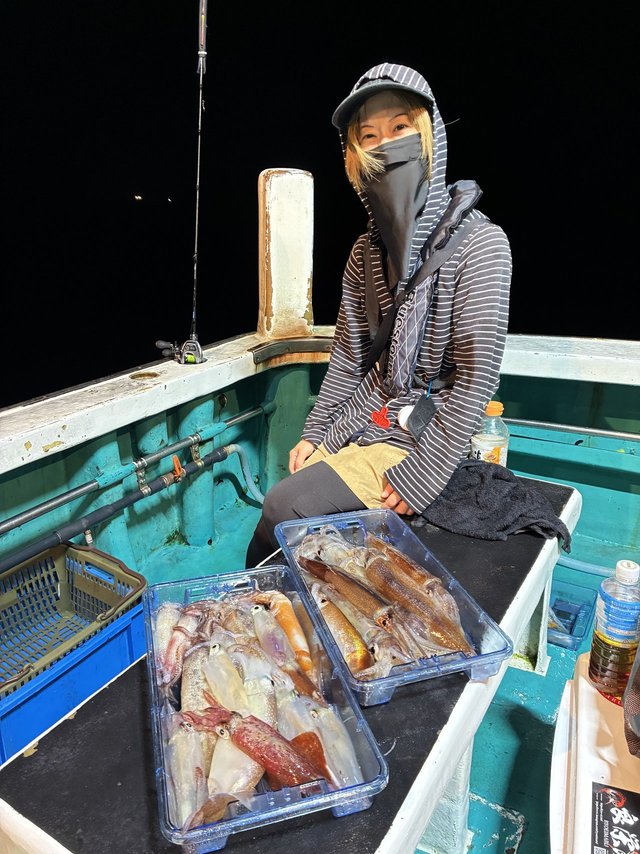 アカイカ(ケンサキイカ)