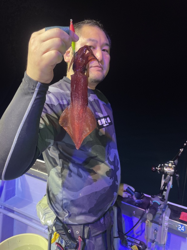 マルイカ(ケンサキイカ)