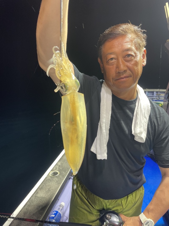 マルイカ(ケンサキイカ)