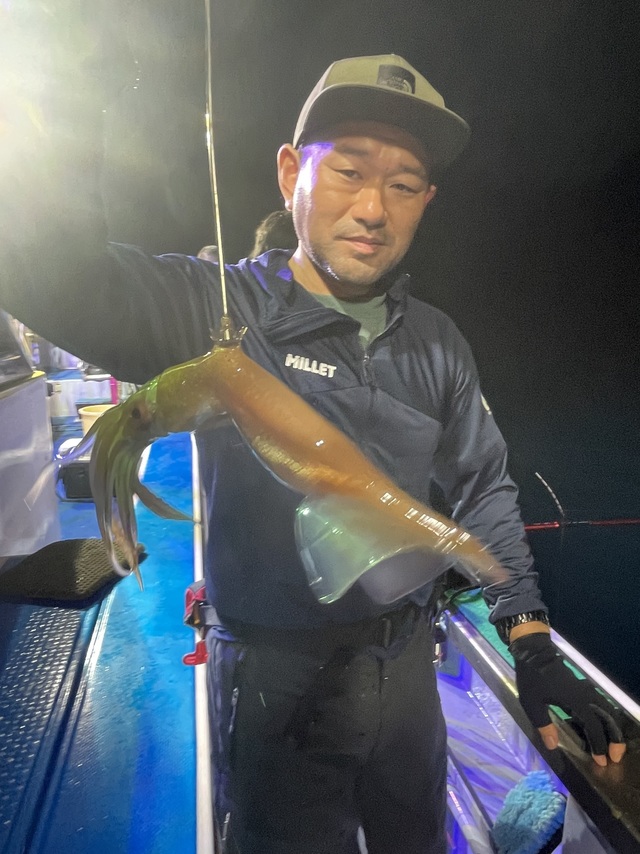 マルイカ(ケンサキイカ)