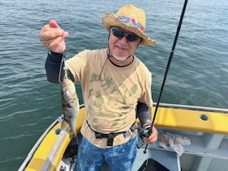 ショウサイフグ