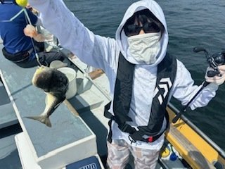 ショウサイフグ