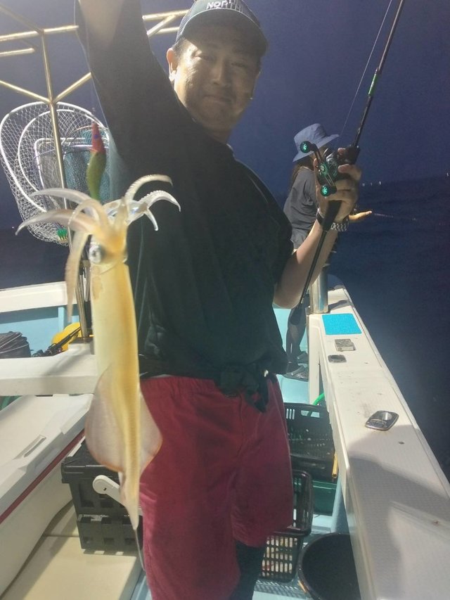 イカ(ヤリイカ)