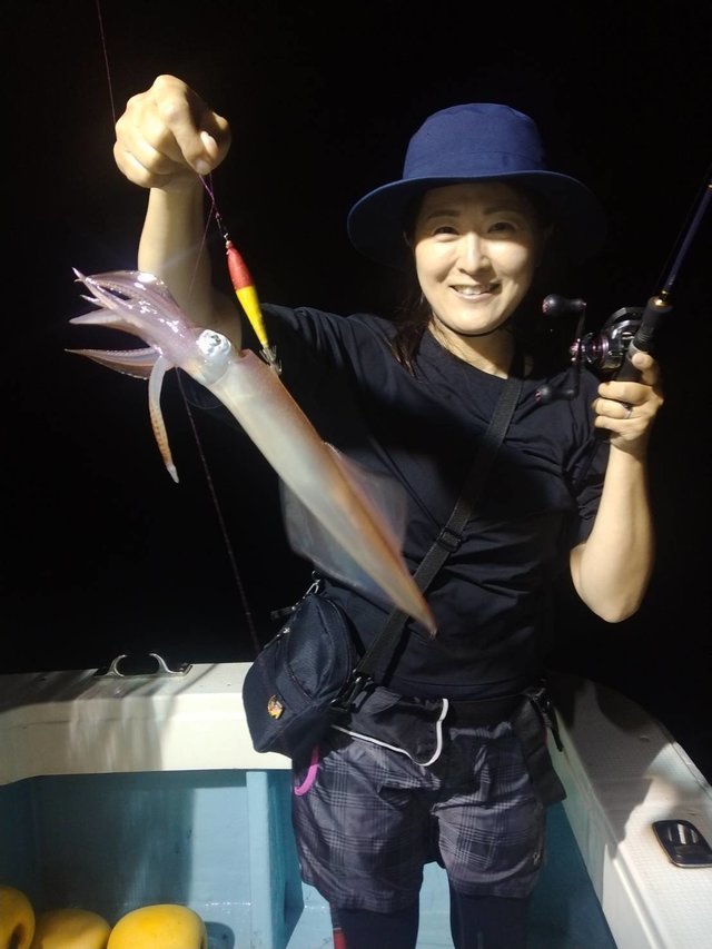 イカ(ヤリイカ)