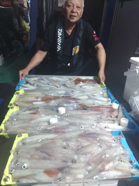 イカ(ヤリイカ)