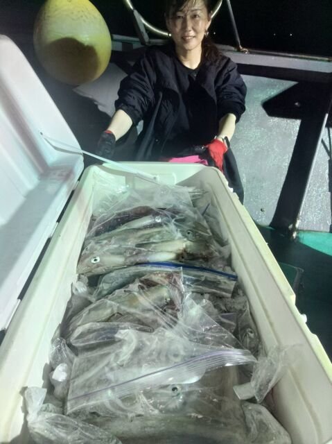 イカ(ヤリイカ)