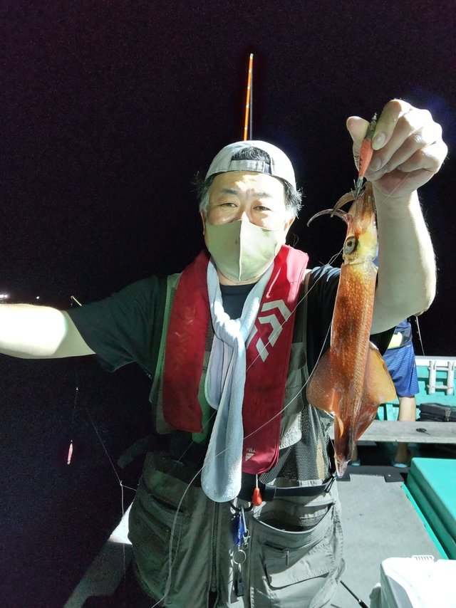 シロイカ(ケンサキイカ)