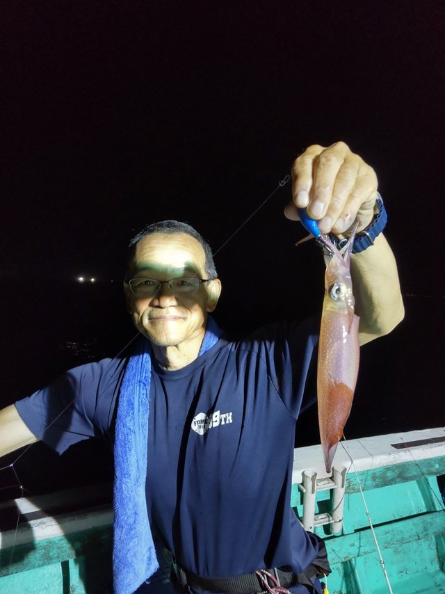 シロイカ(ケンサキイカ)