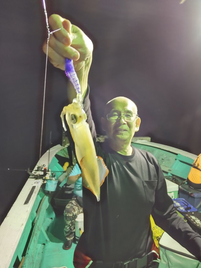 シロイカ(ケンサキイカ)