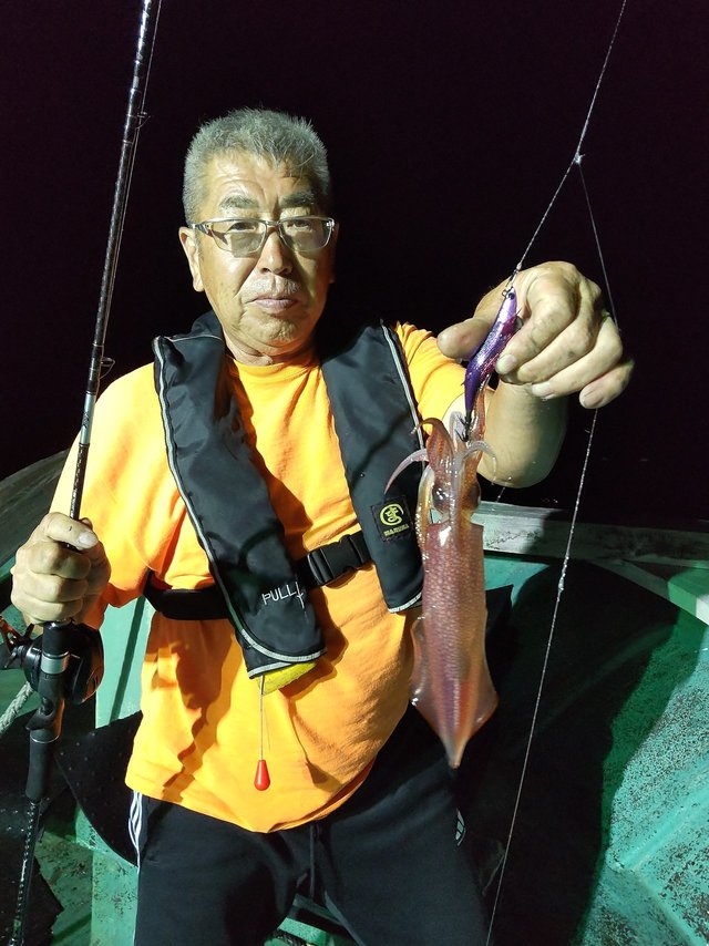 シロイカ(ケンサキイカ)