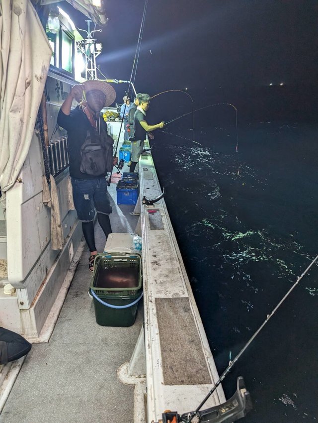 イカ(ヤリイカ)