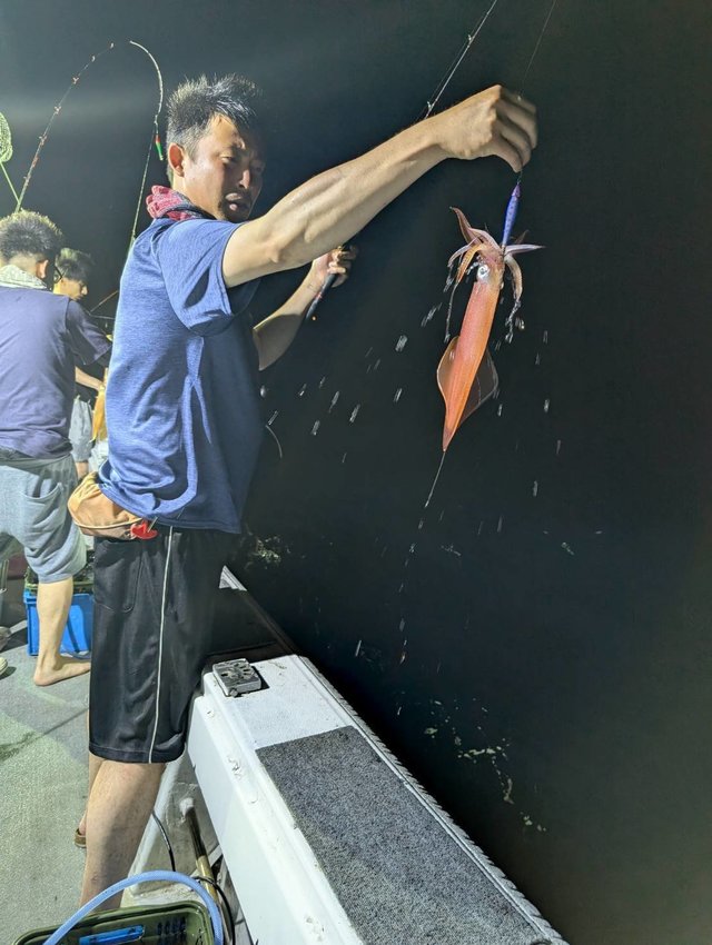 イカ(ヤリイカ)