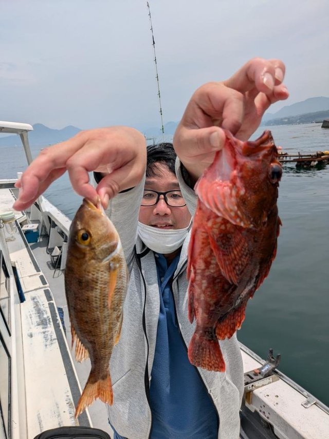 フエフキダイ・カサゴ