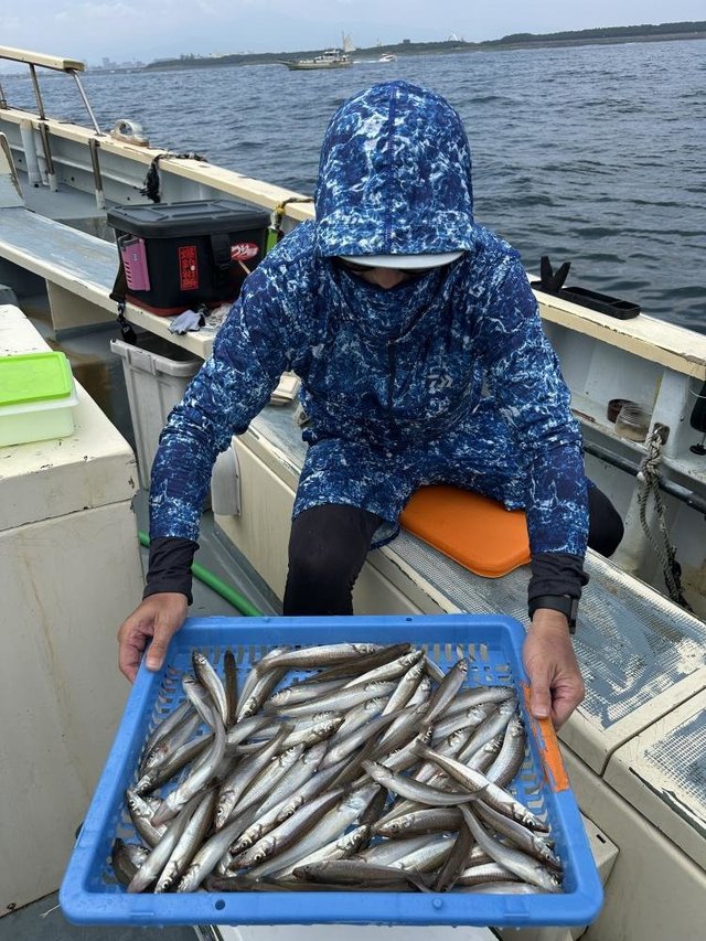 シロキス(シロギス)