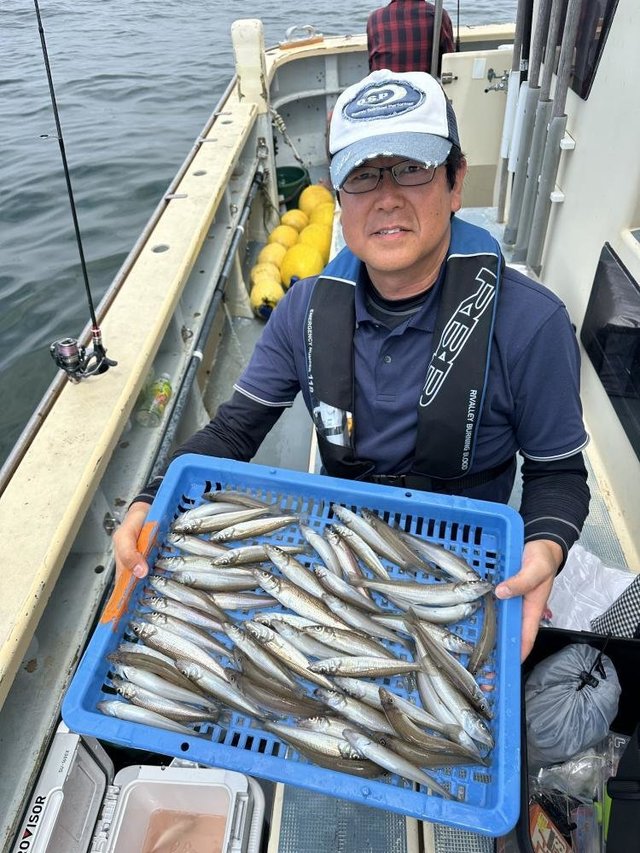 シロキス(シロギス)