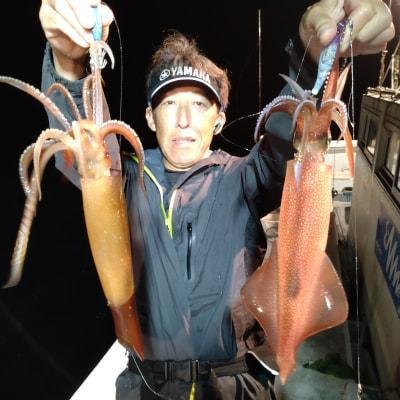 マイカ(ケンサキイカ)