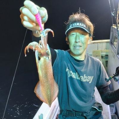 マイカ(ケンサキイカ)