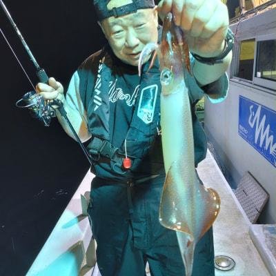 マイカ(ケンサキイカ)