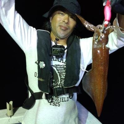 マイカ(ケンサキイカ)