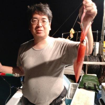 マイカ(ケンサキイカ)