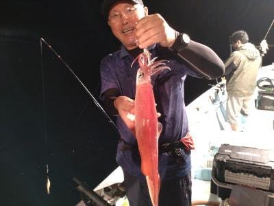 マイカ(ケンサキイカ)