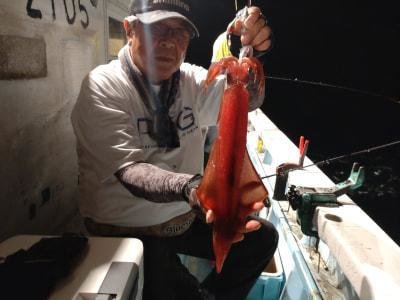 マイカ(ケンサキイカ)