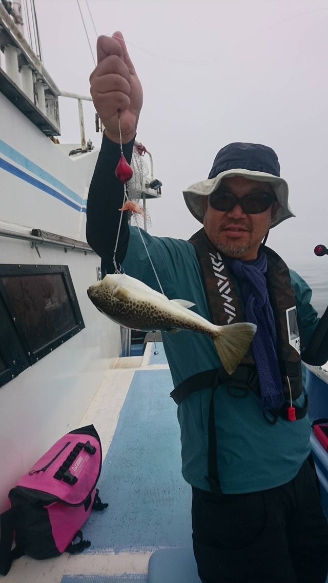 ショウサイフグ