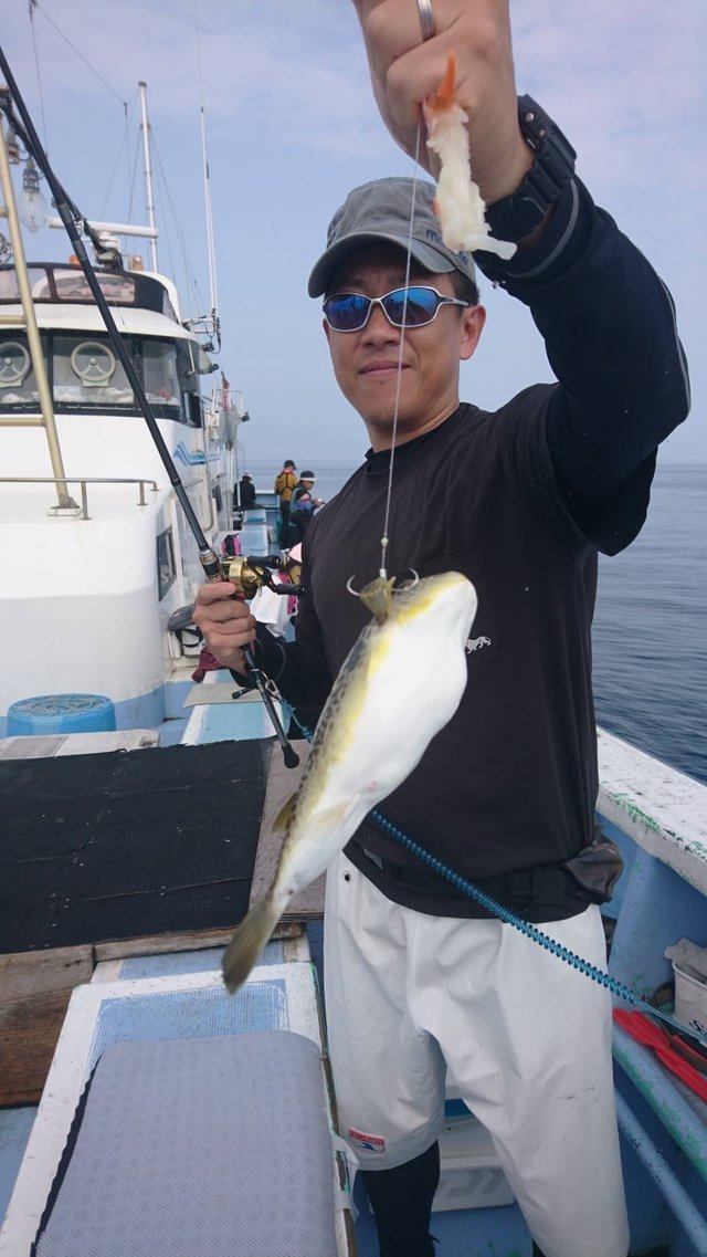 ショウサイフグ