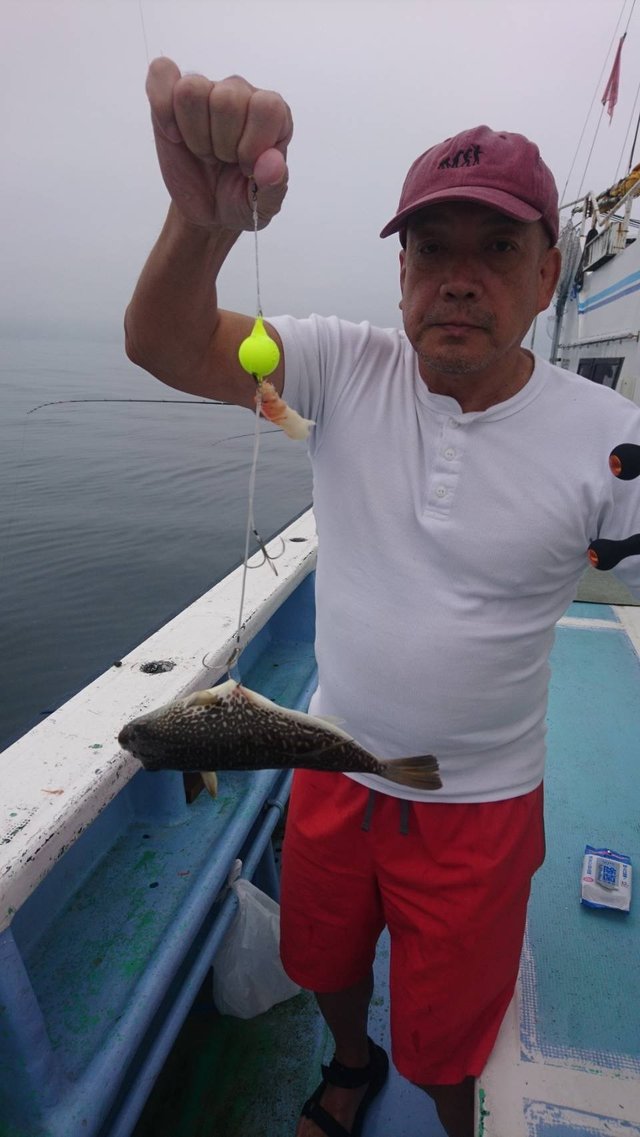 ショウサイフグ