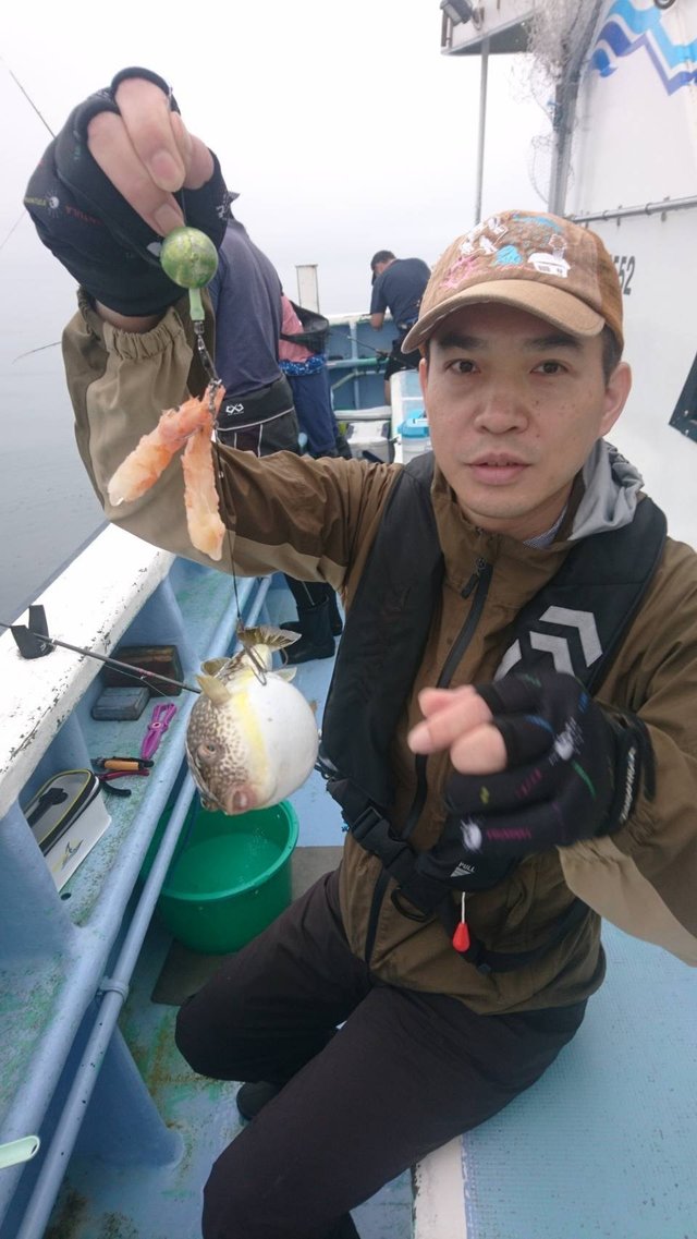 ショウサイフグ