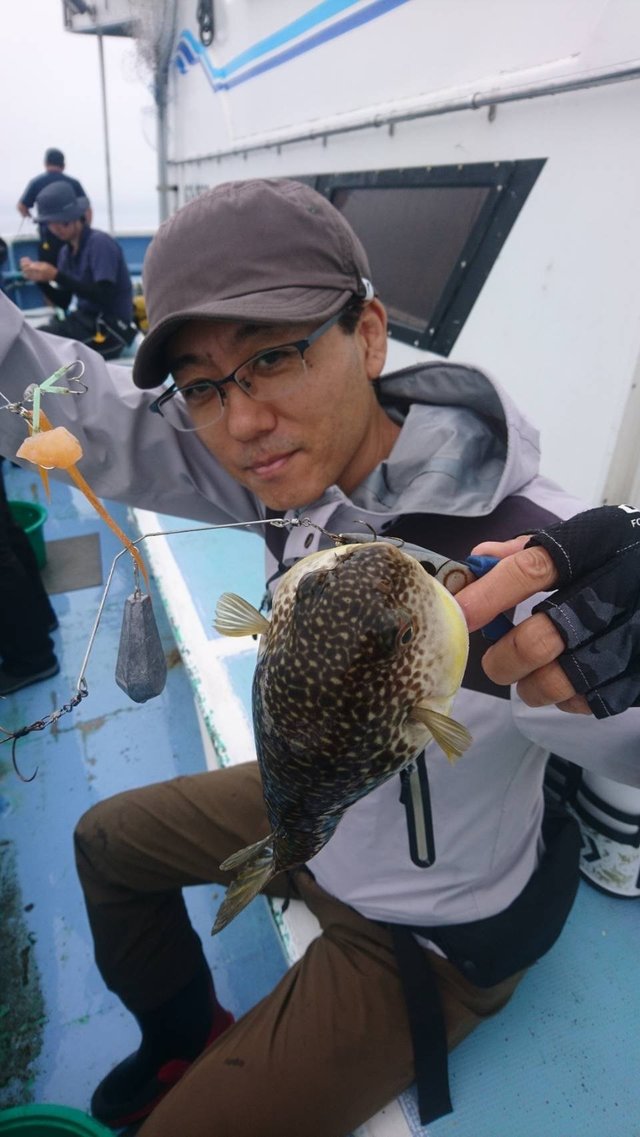 ショウサイフグ