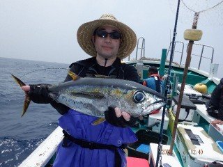 キメジ(キハダ)