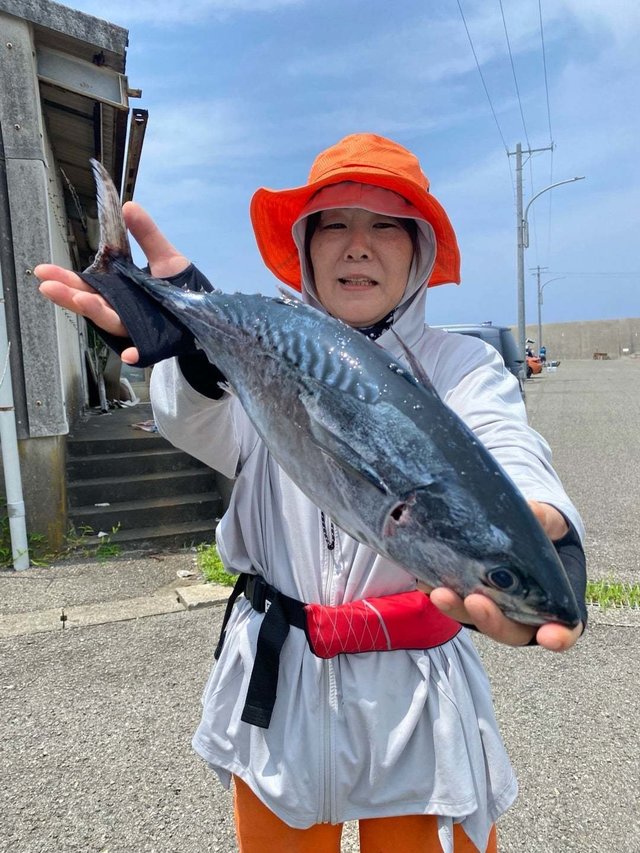 スマガツオ(スマ)