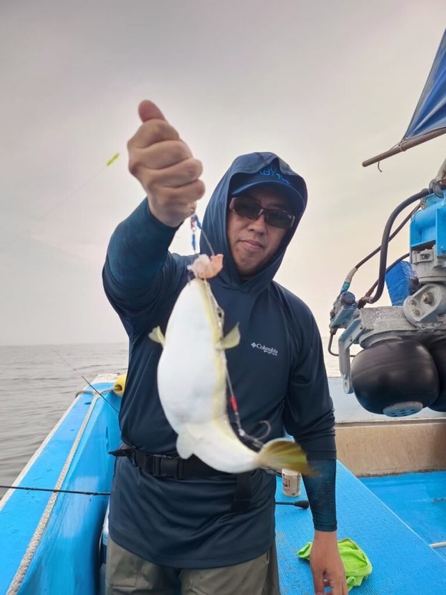 フグ(ショウサイフグ)