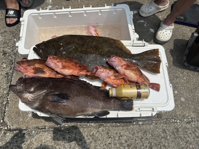 マハタ・カサゴ・ヒラメ