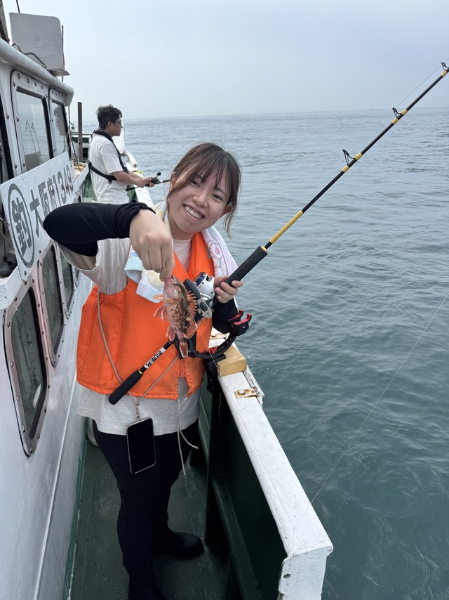 ガシラ(カサゴ)