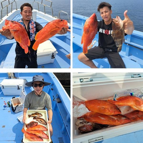 アカハタ・オオモンハタ・カサゴ・メバル