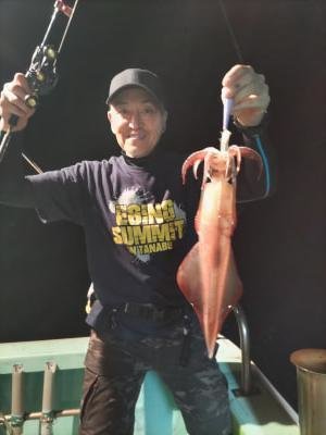 マイカ(ケンサキイカ)