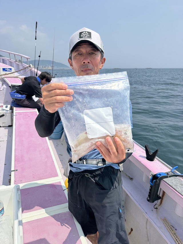 マルイカ(ケンサキイカ)