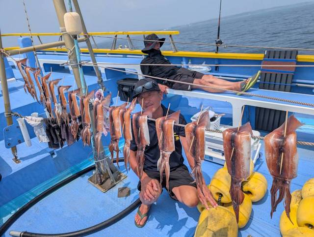 スルメ(スルメイカ)