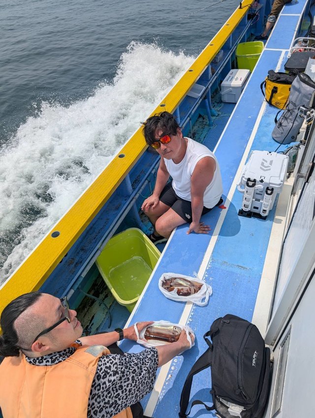 スルメ(スルメイカ)