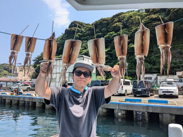 スルメ(スルメイカ)