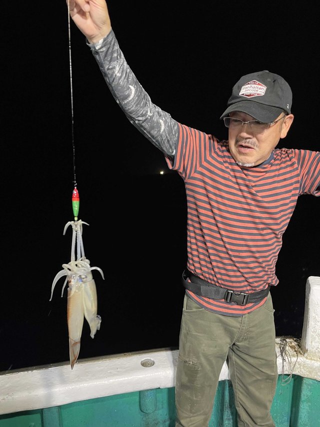 スルメ(スルメイカ)