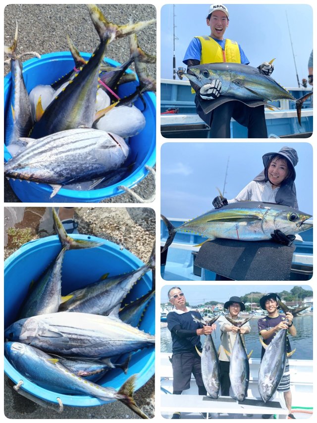 キハダマグロ(キハダ)