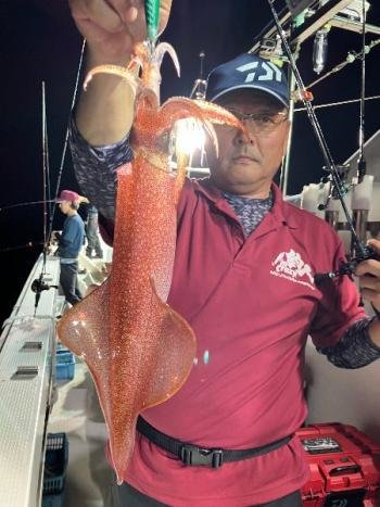 マイカ(ケンサキイカ)